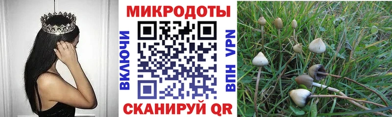 как найти закладки  Курган  Псилоцибиновые грибы Magic Shrooms 